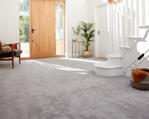 tweed carpet